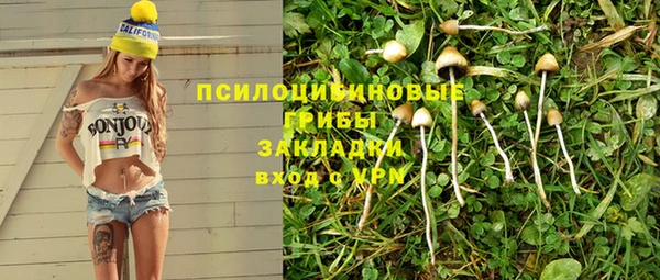 ПСИЛОЦИБИНОВЫЕ ГРИБЫ Михайловка