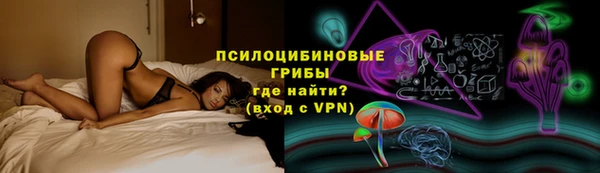 ПСИЛОЦИБИНОВЫЕ ГРИБЫ Михайловка
