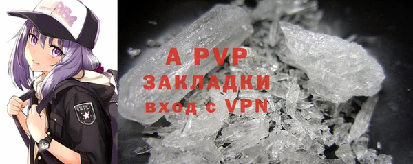 ПСИЛОЦИБИНОВЫЕ ГРИБЫ Михайловка