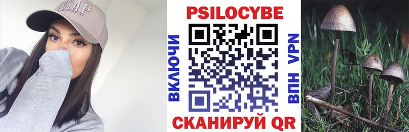 Галлюциногенные грибы Psilocybine cubensis цена Переславль-Залесский