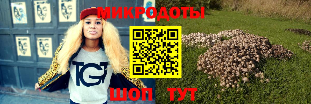 Галлюциногенные грибы Psilocybe Переславль-Залесский